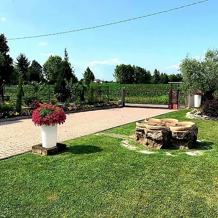 Coccole Venete * Abano Terme
