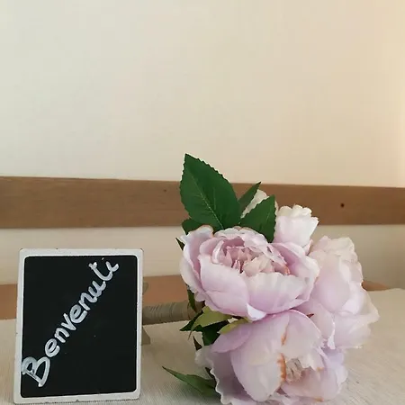 Aparthotel Coccole Venete Abano Terme